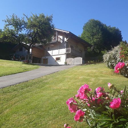 Appartement Borne Saint-Jean-dʼAulps Dış mekan fotoğraf