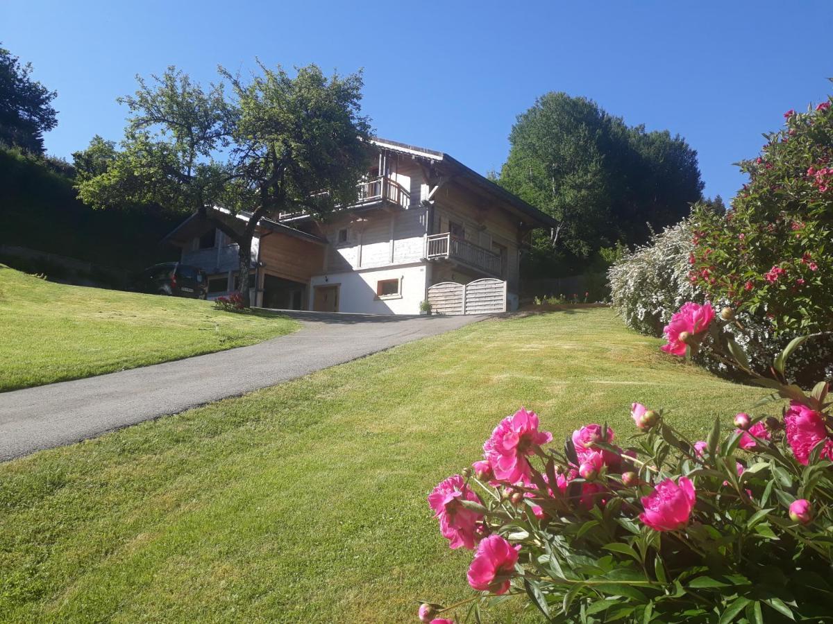 Appartement Borne Saint-Jean-dʼAulps Dış mekan fotoğraf