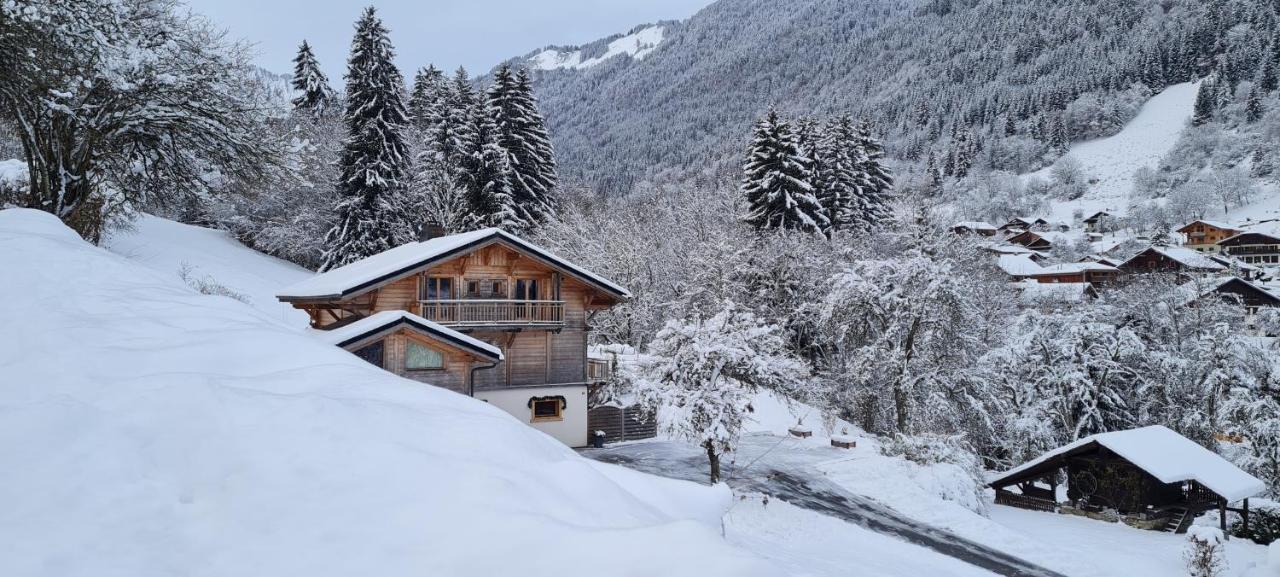 Appartement Borne Saint-Jean-dʼAulps Dış mekan fotoğraf