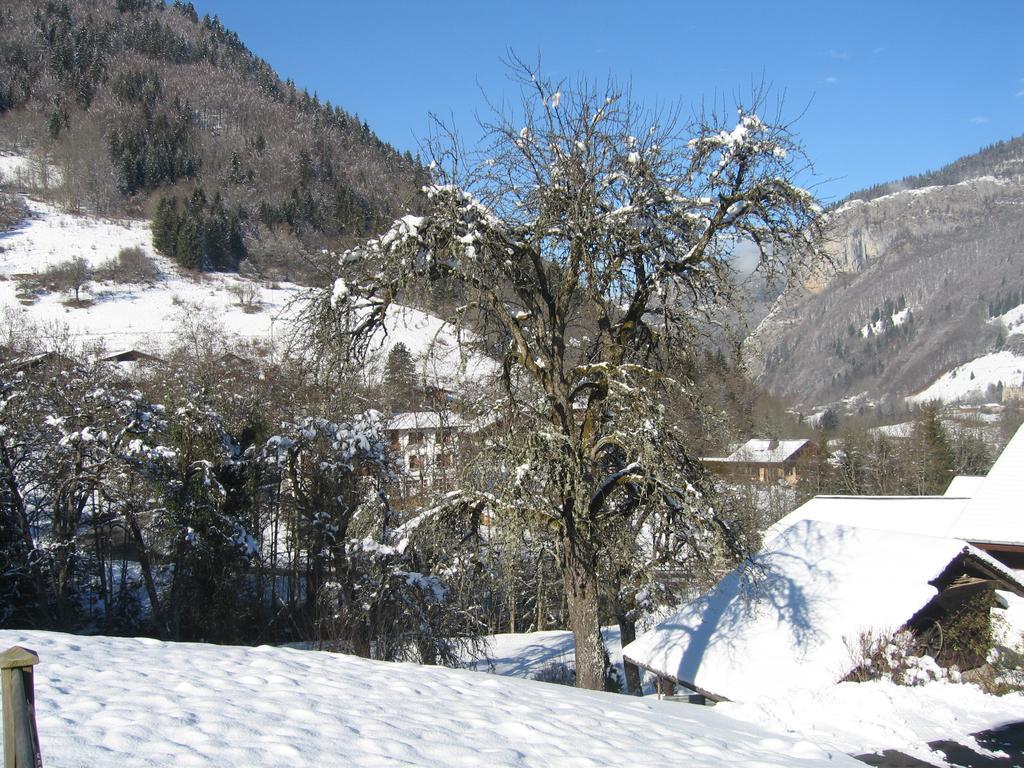 Appartement Borne Saint-Jean-dʼAulps Oda fotoğraf